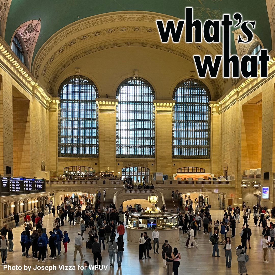 NYPD Addresses Quality of Life, Summer Events at Grand Central, and Wellness Programs in the Lower East Side episode artwork