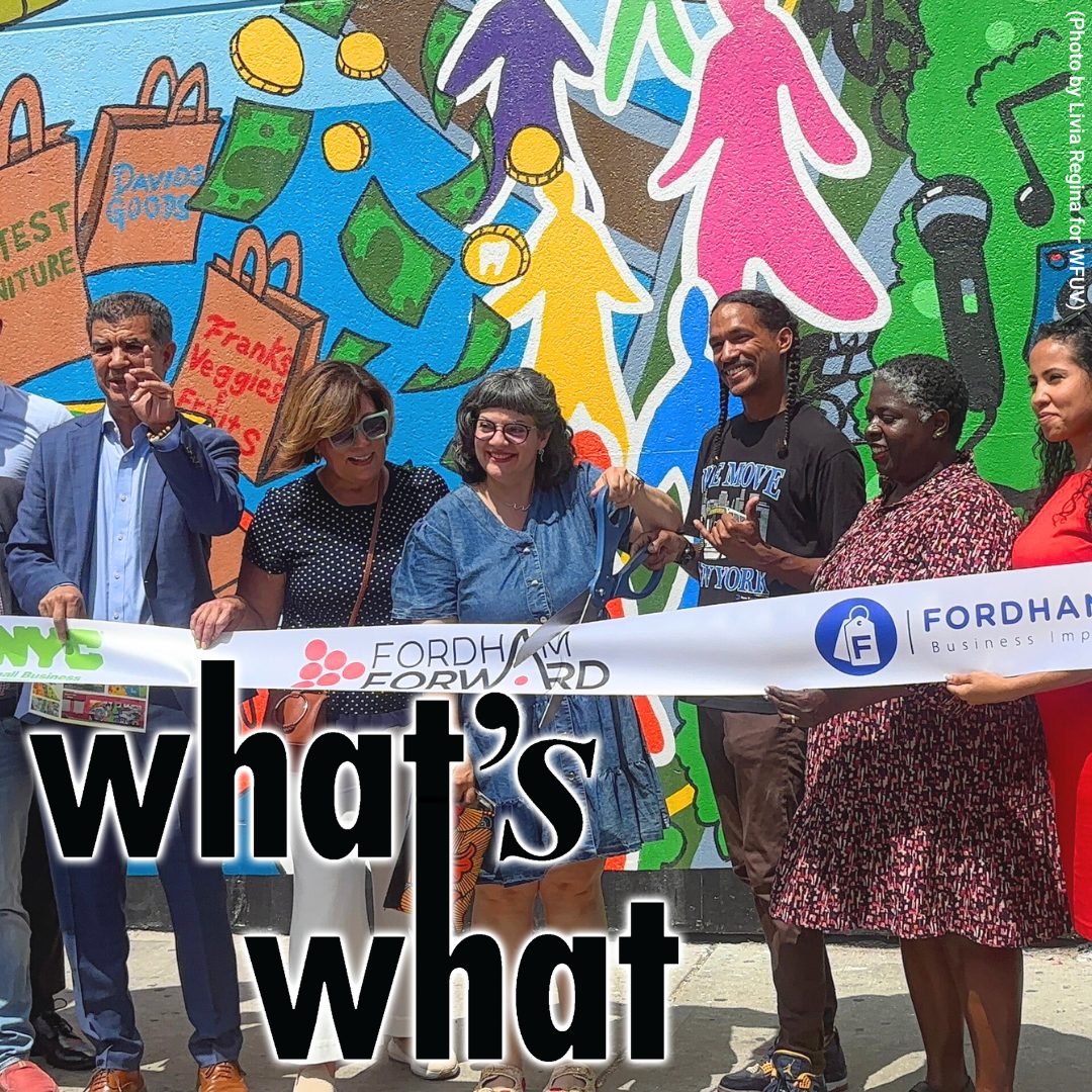 Elections Board Announces Ranked Choice Results, Fordham University Professor Discusses AI, and The Bronx Celebrates a New Mural episode artwork