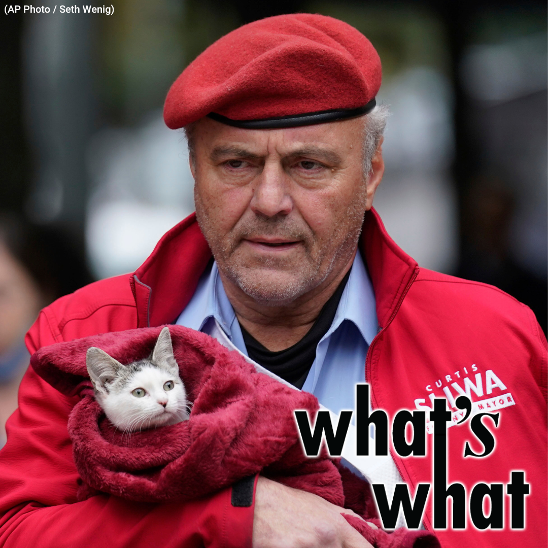 NYC Animal Shelters Run Out of Room, Restaurant Week Begins and How AI is Already Shaping the Next Generation of Journalists episode artwork