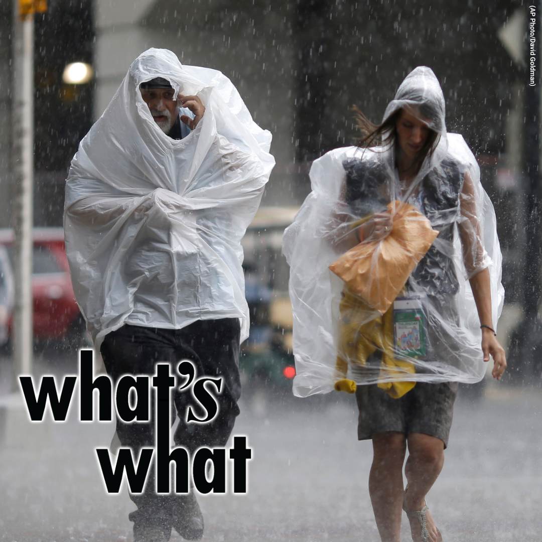 What\'s What