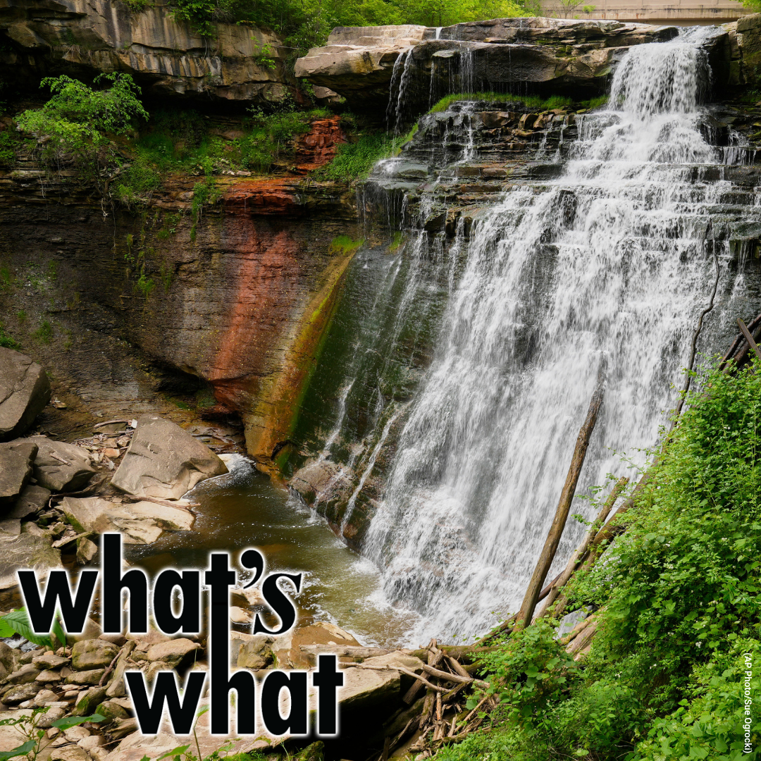 Young People Less Engaged in Politics?, National Park Cuts and Harlem Week in Swing episode artwork