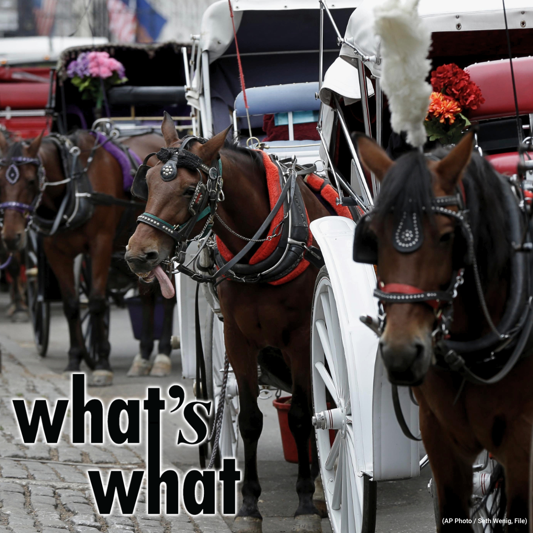 What\'s What