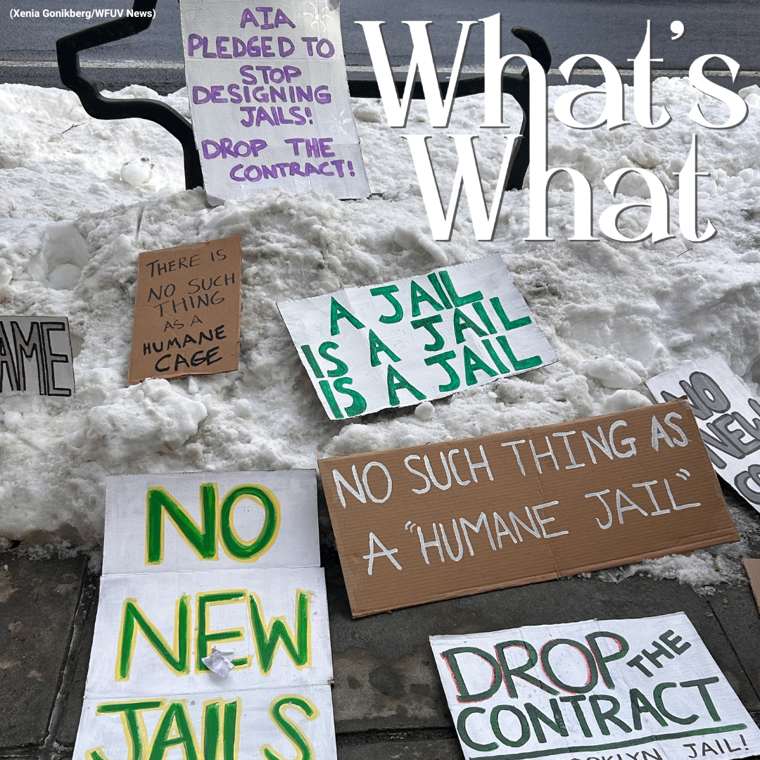 Mamdani Adds to His Administration, Democrats React to ICE, and a Protest Against a New Jail in Brooklyn episode artwork