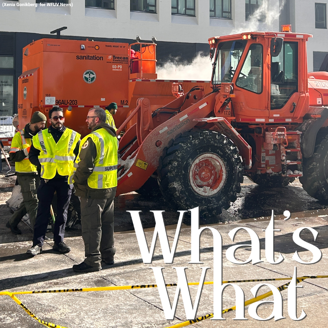 Meet NYC’s Giant Hot Tubs, Activists Rally for Street Vendor Rights, and Neko Case Talks the Joy of Live Performance episode artwork