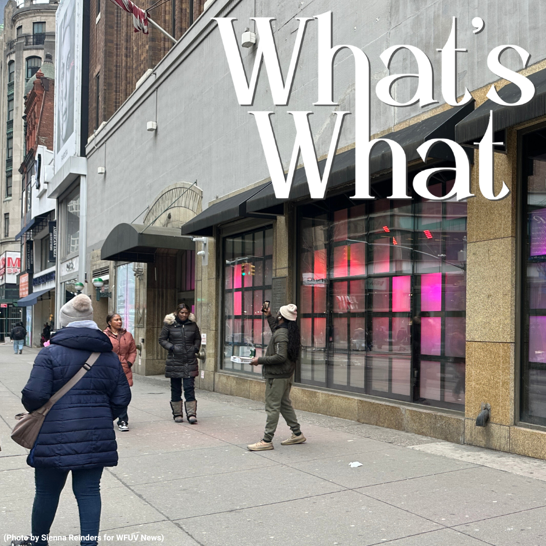 : Lawmakers React to Weekend Strikes in Iran, Gov. Hochul Holds Tariff Roundtable, and a New Art Installation Lights Up Downtown Brooklyn episode artwork