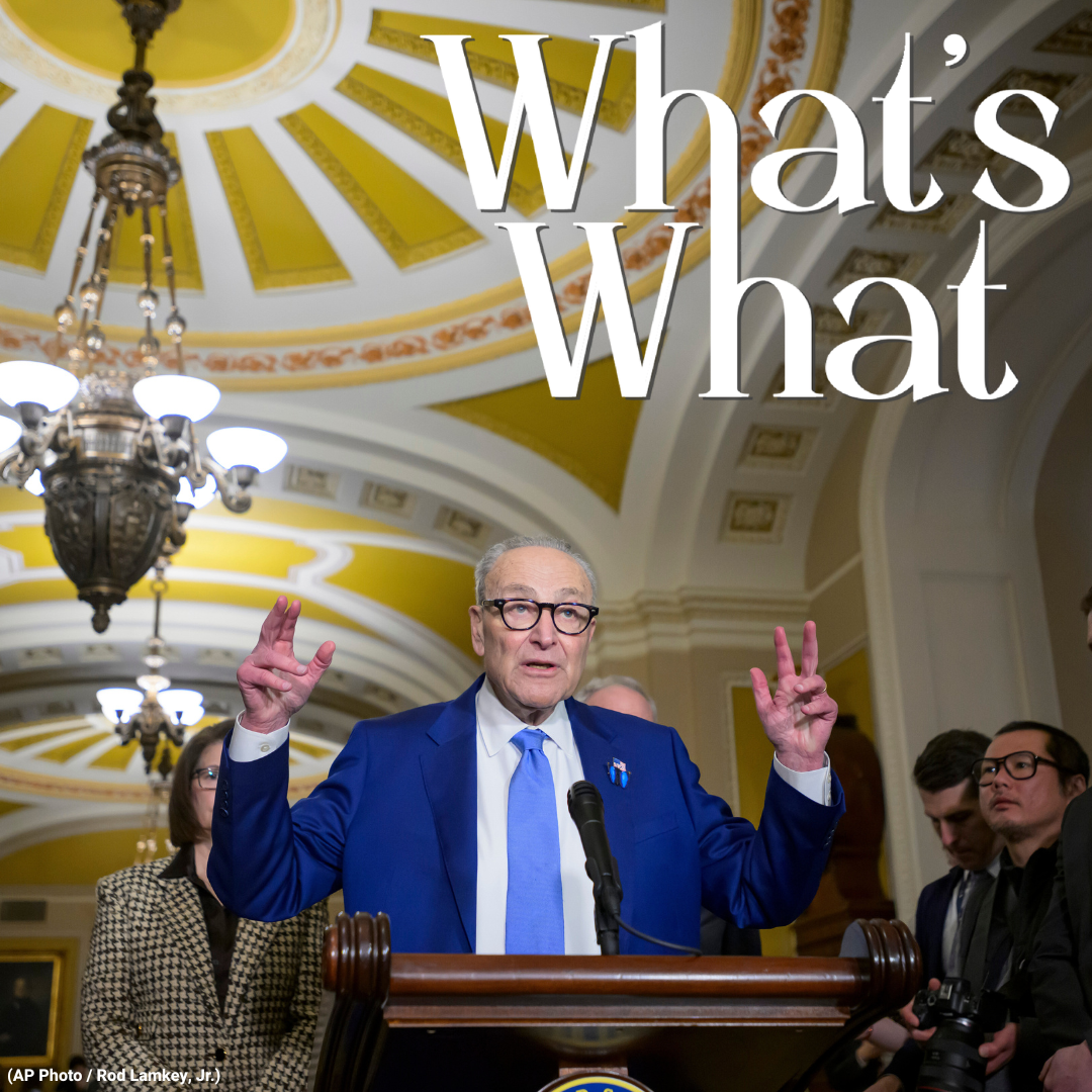 Lawmakers Prepare to Vote on SAVE Act, Gov Hochul Criticizes Trump Admin Over Gas Prices, and a Bronx-based Non-Profit Teaches Kids Media Literacy. episode artwork