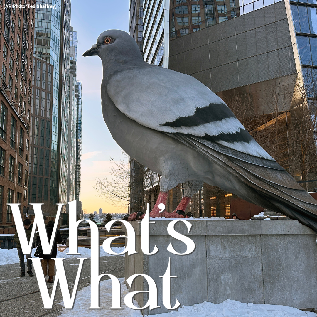 9/11 Health Support Reassigned to ICE, DHS Confirmation Hearing, and Goodbye to Highline Pigeon Statue episode artwork