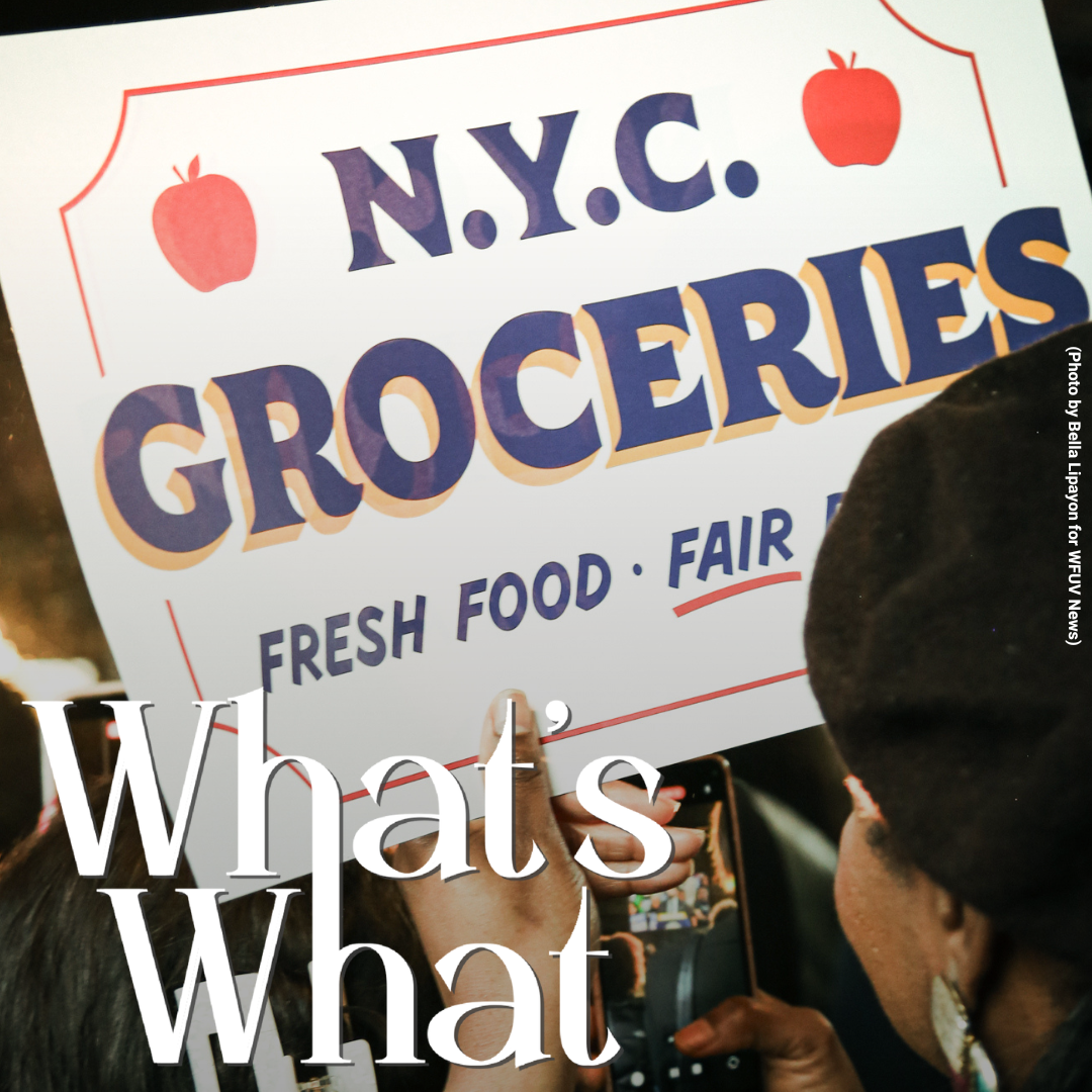 Opening City-Owned Grocery Stores, Hearing for Rikers Detainees, and the Bronx River Foodway episode artwork