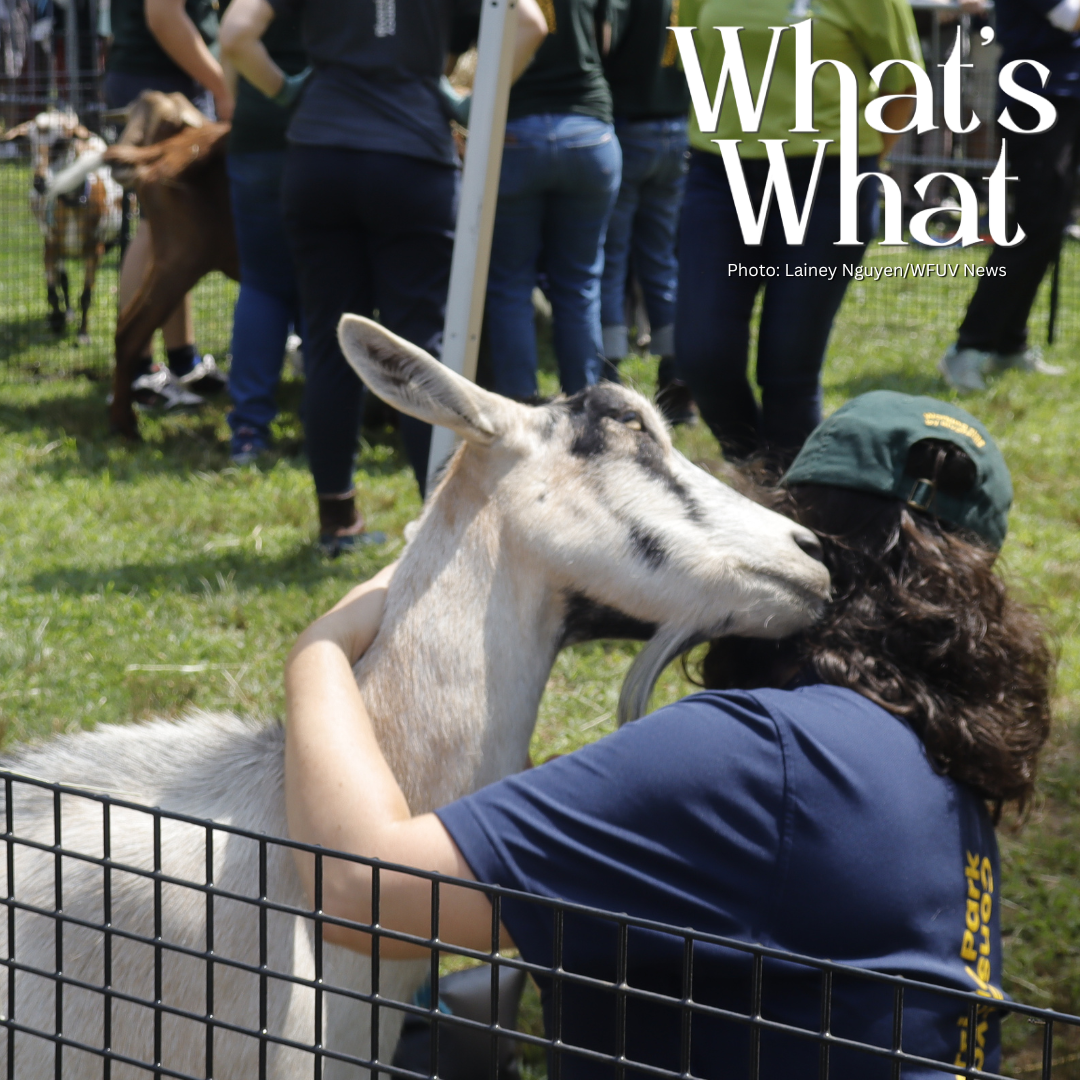 Gas Prices Increase, Cyclospora Cases Rise, World Cup Wrap-Up, Goats in Riverside Park episode artwork