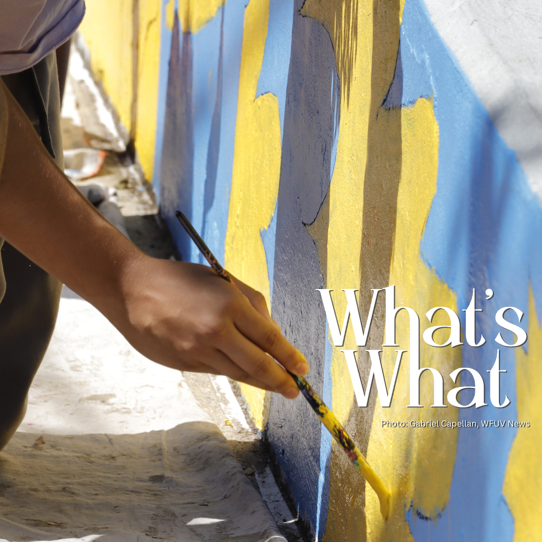 NJ Grocery Regulations, World Cup Mural, Interview with Young the Giant episode artwork