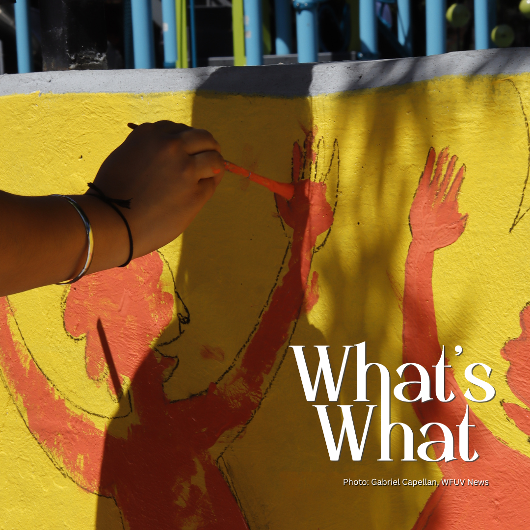 New York Recycling Data, Grants for Bronx Businesses, Child Food Assistance Program, World Cup Mural episode artwork