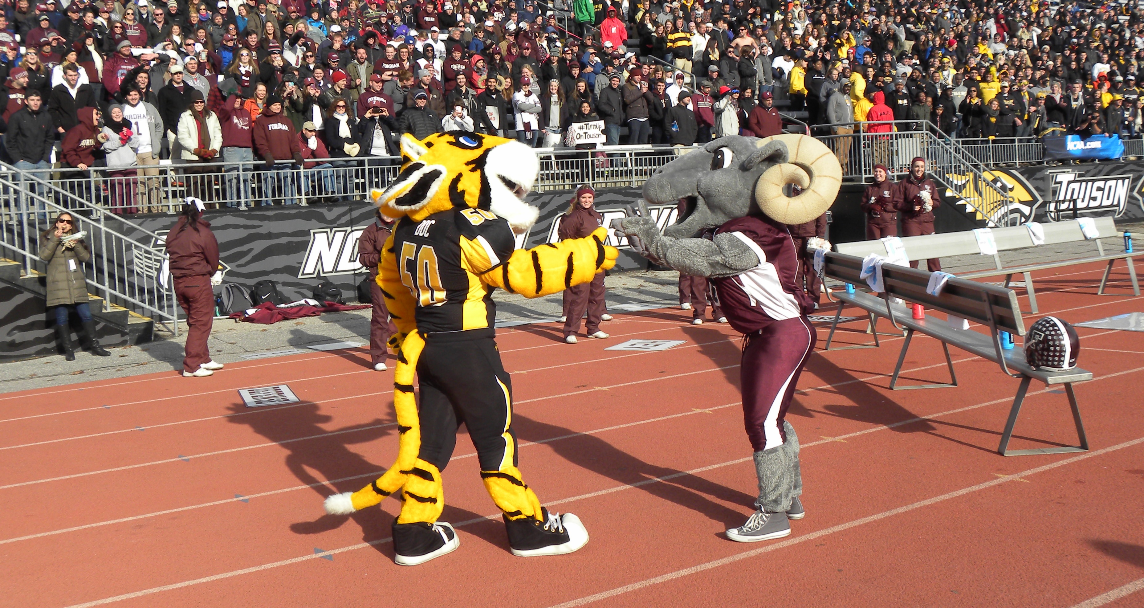 WFUV Sports